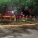 Capivara News TV: Vídeo mostra menor vendedor de bombons sendo agredido e roubado em Caarapó
