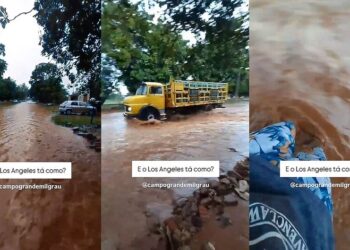 Capivara News TV: Morador brinca em vídeo em lagoa em rua; “se não pega doença, fortalece a imunidade”