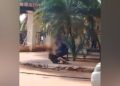 Capivara News TV: Guarda Municipal é flagrado agredindo morador de rua em praça de Campo Grande
