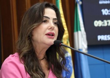 Plano Estadual de Combate à Violência Doméstica será elaborado, anuncia Mara Caseiro