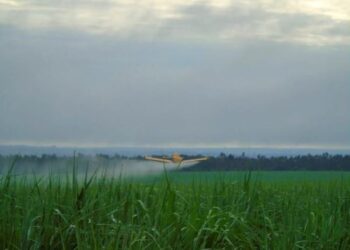 MPT-MS emite recomendação à ACP Bioenergia contra pulverização aérea de agrotóxicos