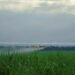 MPT-MS emite recomendação à ACP Bioenergia contra pulverização aérea de agrotóxicos
