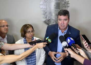 Governo de MS e Ministério das Mulheres discutem reformulação do atendimento na Casa Mulher Brasileira