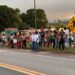Capivara News TV: Vídeo mostra protesto de população, após morte de menino atropelado na BR-163 em Rio Verde de MT