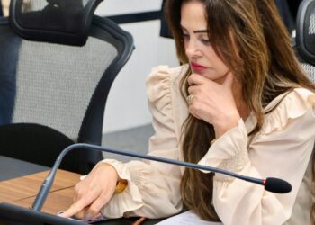 Deputada reafirma a necessidade de recuperação asfáltica da MS-295 