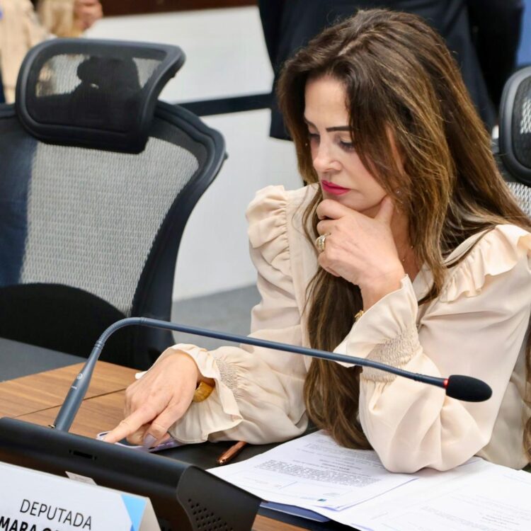 Deputada reafirma a necessidade de recuperação asfáltica da MS-295 