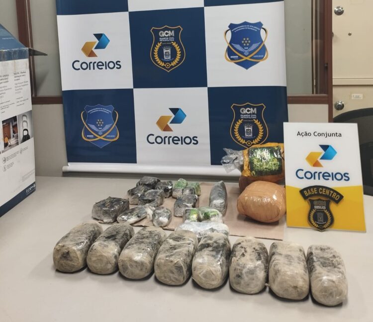 Guarda apreende R$ 2,5 milhões em Dry, maconha gourmetizada, que seria traficada pelos Correios
