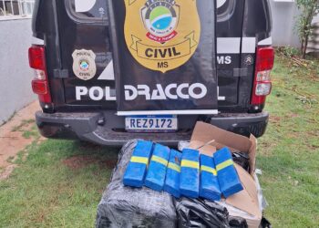 Denúncia leva polícia a apreender R$ 153 mil em maconha em bairro da Capital