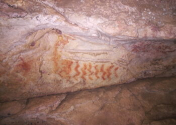 Projeto de arqueologia apoiado pela Fundect é forte candidato a selo da UNESCO