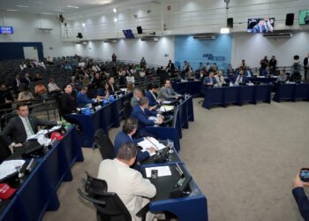 Vereadores votam tarifa social para abrigos de proteção animal, projetos de habitação e transporte