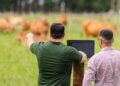 Planejamento estratégico fortalece a gestão e a produtividade no campo em MS