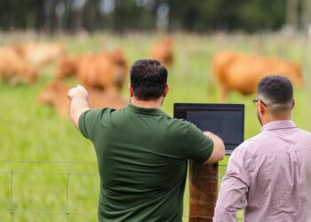 Planejamento estratégico fortalece a gestão e a produtividade no campo em MS