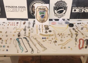 Ladrão folgado que invadia casas de 3 bairros da Capital e bebia tudo das geladeiras é preso