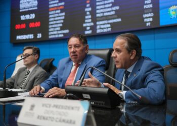 Deputado conclama autoridades para reforçar combate ao feminicídio em MS