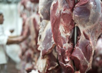 MS amplia exportações e saldo da balança comercial sobe quase 10% em janeiro