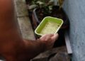 Boletim Epidemiológico: MS registra 673 casos confirmados de dengue