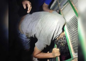 Ladrão tenta invadir casa para furtar e “se lasca” ao ficar com cabeça presa na janela