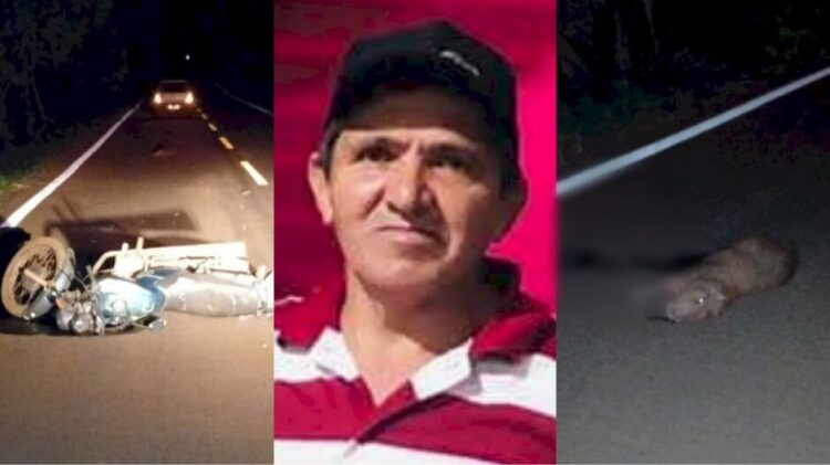 Motociclista e capivara morrem, após atropelamento na MS-147, em Vicentina