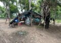 Quatro trabalhadores são resgatados em situação análoga à escravidão em fazenda de Corumbá