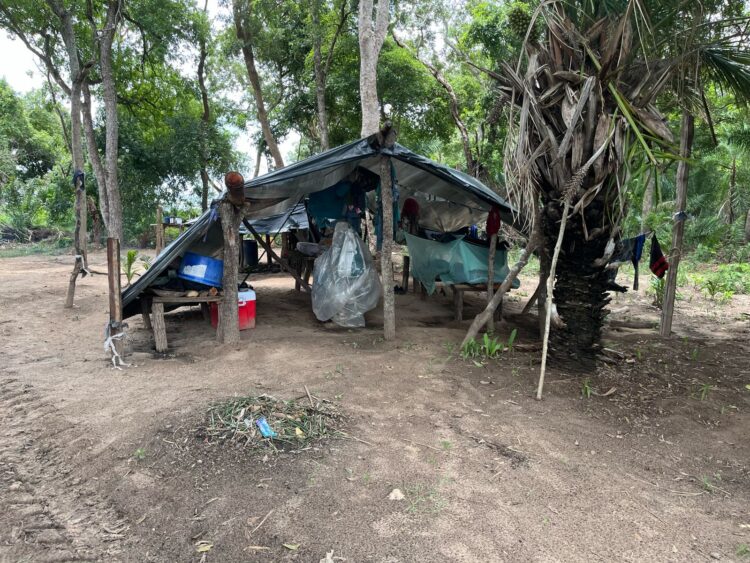 Quatro trabalhadores são resgatados em situação análoga à escravidão em fazenda de Corumbá
