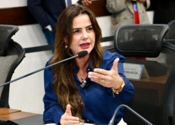 Deputada Mara Caseiro solicita estudo para ampliar atendimento a pessoas com TEA