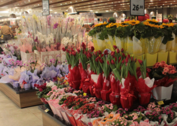Mercado de Flores no Brasil floresce com novos consumidores