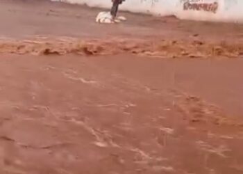Capivara News TV: Vídeo mostra diversos alagamentos depois da chuva na Capital