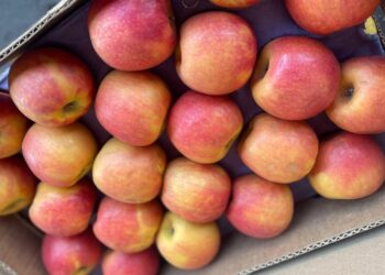 Ceasa-MS registra aumento de 105% no volume de produtos importados do exterior