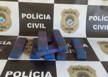 Jovem é preso com 9 tabletes de maconha perto de créche do Taquaral Bosque