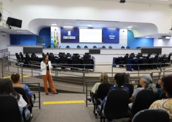 Câmara da Capital reúne especialistas e discute combate aos assédios moral e sexual contra mulheres