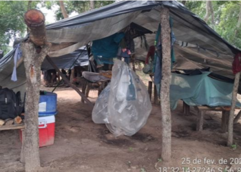 MPT-MS pede expropriação de fazenda que manteve trabalhadores semelhante à escravos