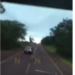 Capivara News TV: Vídeo mostra motorista de Uno em ziguezague em rodovia até capotar