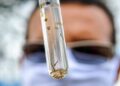 Boletim Epidemiológico: MS registra 1.234 casos confirmados de dengue