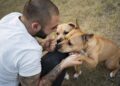 Universidade organiza feira de adoção e incentiva a guarda responsável de pets em Campo Grande