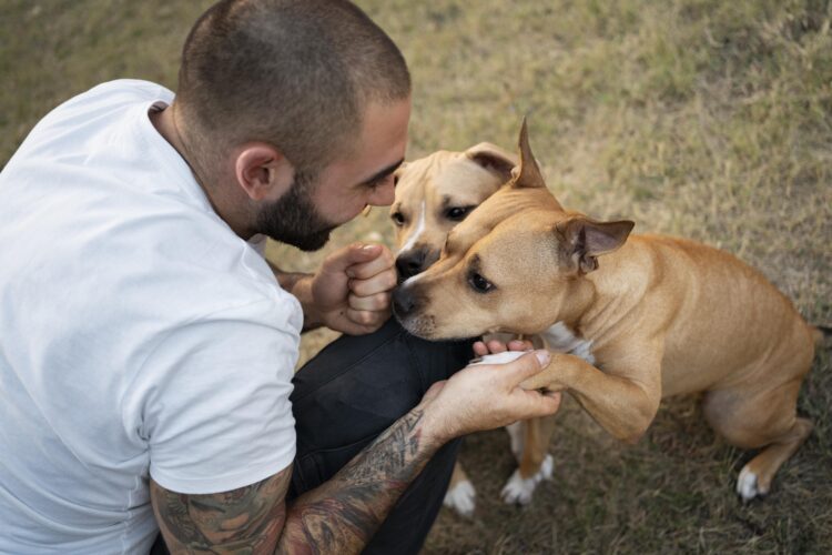Universidade organiza feira de adoção e incentiva a guarda responsável de pets em Campo Grande