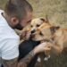 Universidade organiza feira de adoção e incentiva a guarda responsável de pets em Campo Grande