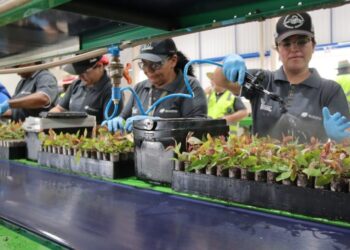 Neste Dia da Mulher, Governo de MS anuncia novas oportunidades de capacitação profissional