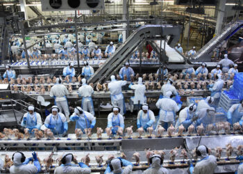Receita com exportação de industrializados de MS alcançou US$ 446 milhões em fevereiro