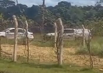 Corpo de mulher em avançado estado de decomposição e marcas de tiro é encontrado