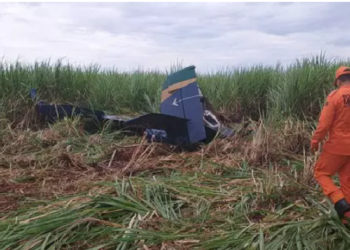 Avião agrícola cai em plantação de cana e piloto morre, em Nova Andradina