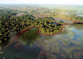 Famasul orienta produtores sobre ratificação de propriedades rurais em faixa de fronteira