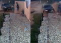 Capivara News TV: Vídeo mostra homem atropelando ex com o carro para matar, em Bonito