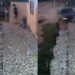 Capivara News TV: Vídeo mostra homem atropelando ex com o carro para matar, em Bonito