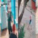 Capivara News TV: Vídeo mostra momento em que homem é morto a tiros em bar na fronteira