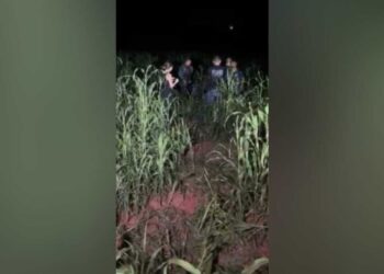 Idoso é vítima de latrocínio, corpo é encontrado e quatro são presos pelo crime em MS