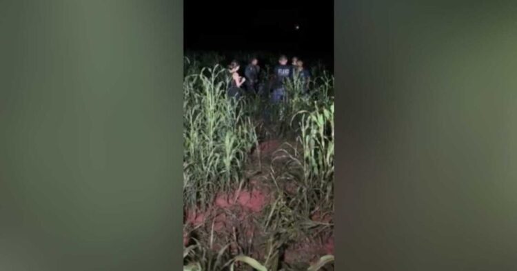 Idoso é vítima de latrocínio, corpo é encontrado e quatro são presos pelo crime em MS