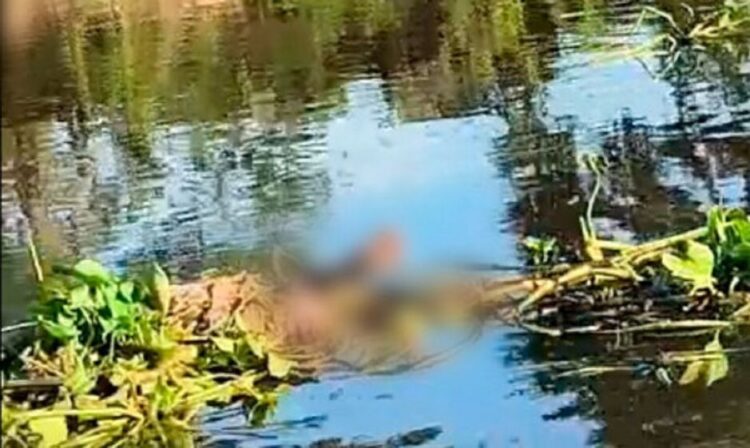 Corpo de homem é encontrado boiando nas águas do Rio Paraguai, em Corumbá