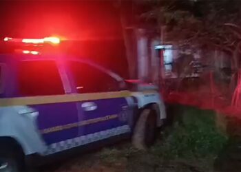 Capivara News TV: Mãe é presa por jogar filhos em poça de água e dizer que só cuidava por causa do Bolsa Família