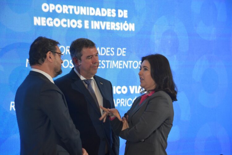 Fiems participa de reunião para debater investimentos no Corredor Bioceânico