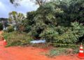 Ao podar galhos de árvore, homem recebe descarga elétrica, cai de 3 metros e morre